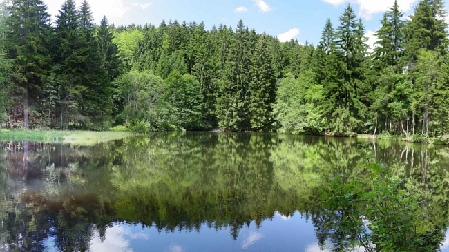 Prohlášení ministra životního prostředí ke stanovisku stínové vědecké rady Národního parku Šumava