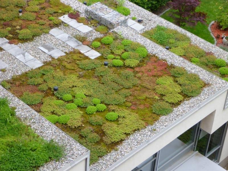 První kroky ke střešním zahradám a zeleným střechám v Pardubicích