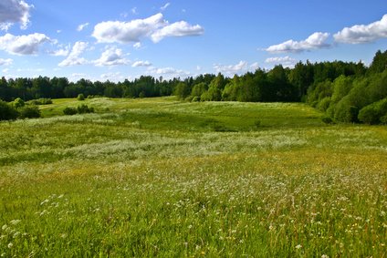 Nejméně 200 kroků pro lepší ochranu krajiny před suchem i povodněmi