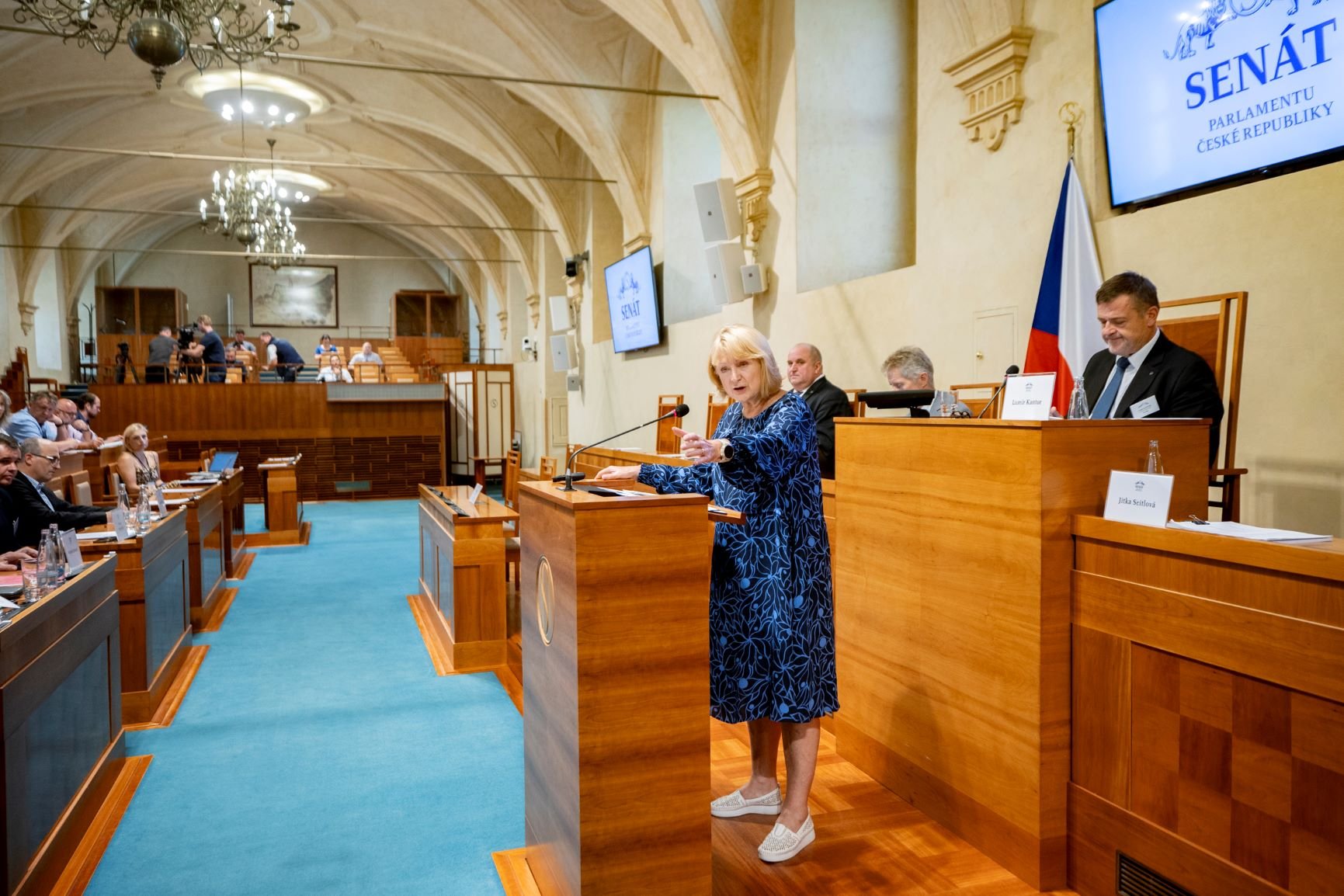 V Senátu se při veřejném slyšení diskutovalo o způsobech, jak vyřešit přetíženost silnic nákladní dopravou